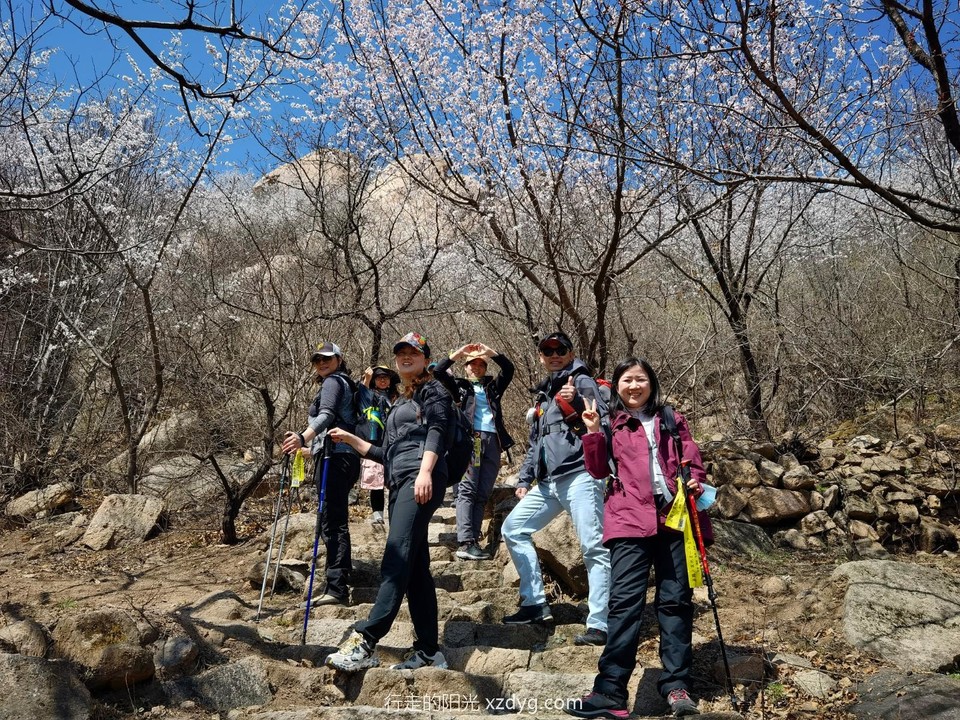 IMG_20220403_122739_edit_66744791530439