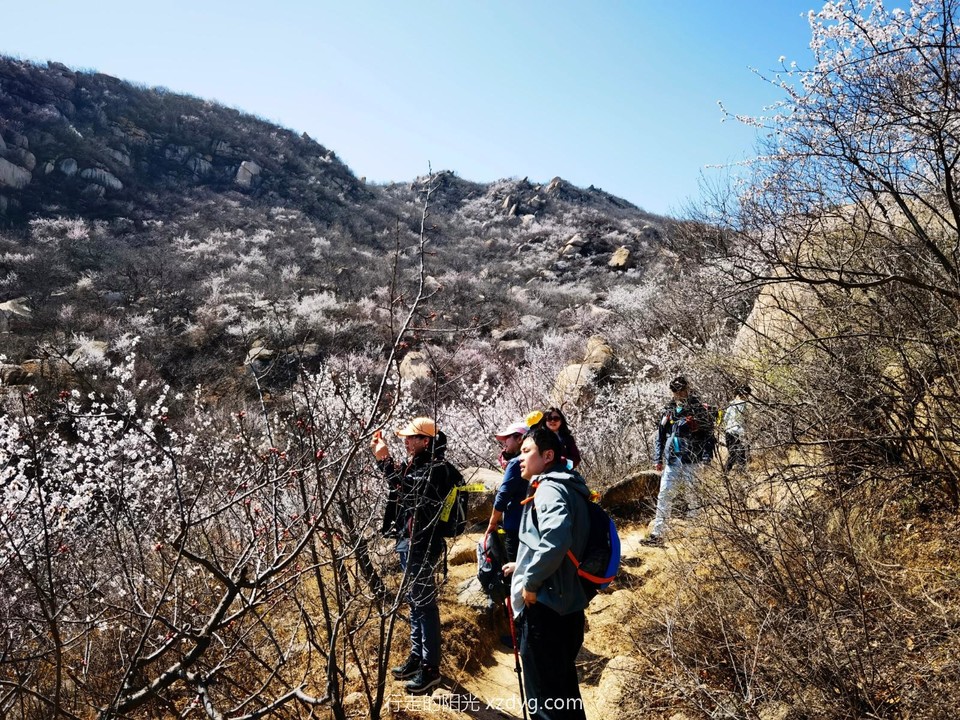 IMG_20220403_122944_edit_66729950888775