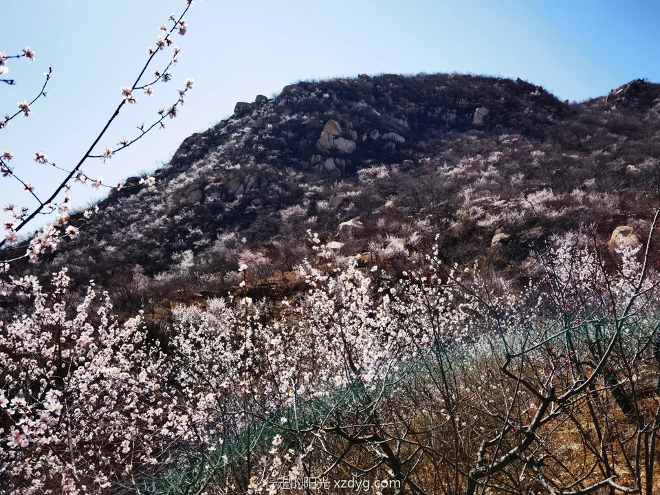 IMG_20220403_122948_edit_66718550514818