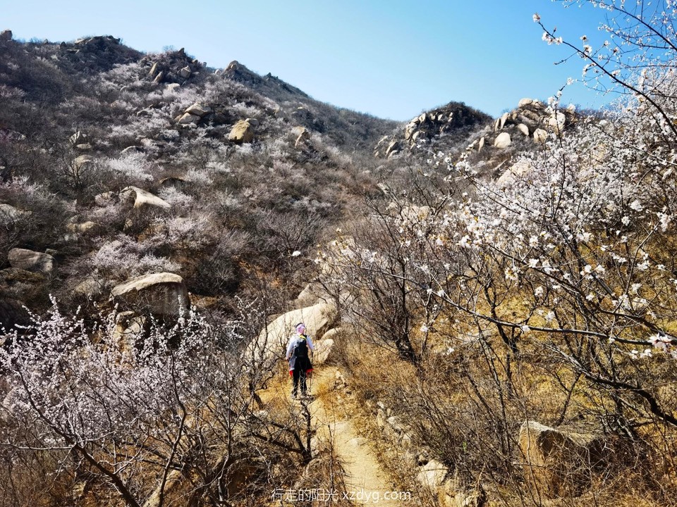 IMG_20220403_123455_edit_66706591169508