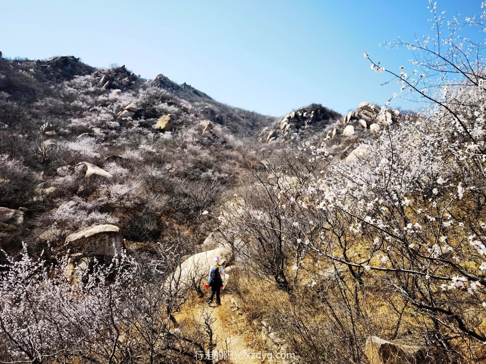 IMG_20220403_123458_edit_66699829900759