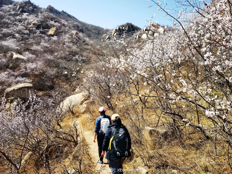 IMG_20220403_123507_edit_66688090016906