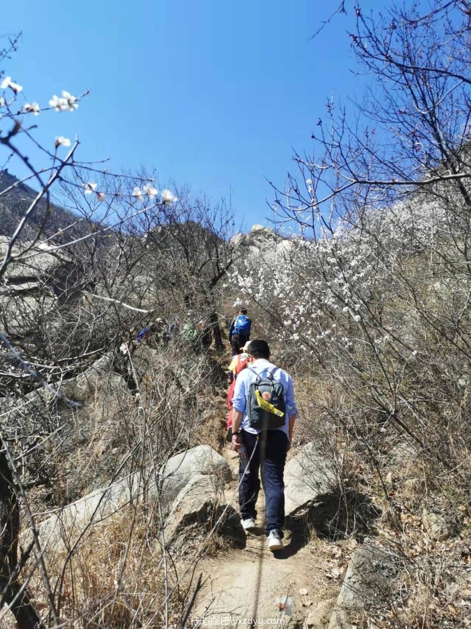 mmexport1649154534947_edit_40965429920311