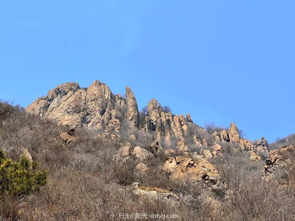 mmexport1649160669155_edit_45303749837357