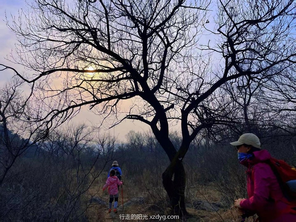 mmexport1649160677483_edit_45298119198296