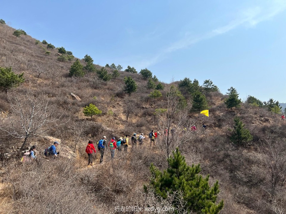 mmexport1649157462084_edit_44311941896363