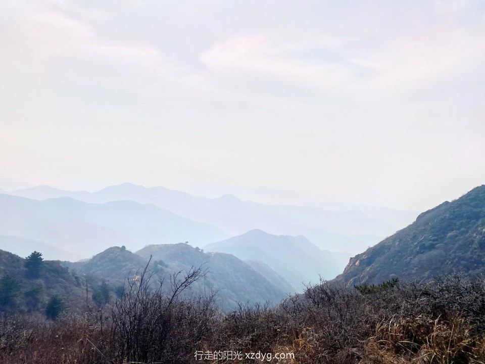 mmexport1649157271930_edit_44166580728677