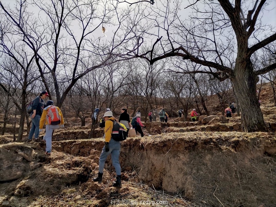 mmexport1649250575986_edit_98009366277232