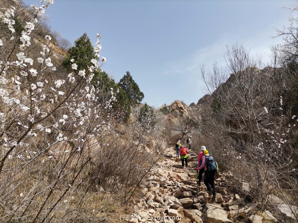 mmexport1649250557936_edit_98017005171501