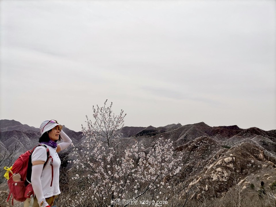 mmexport1649249388223_edit_98032936533999