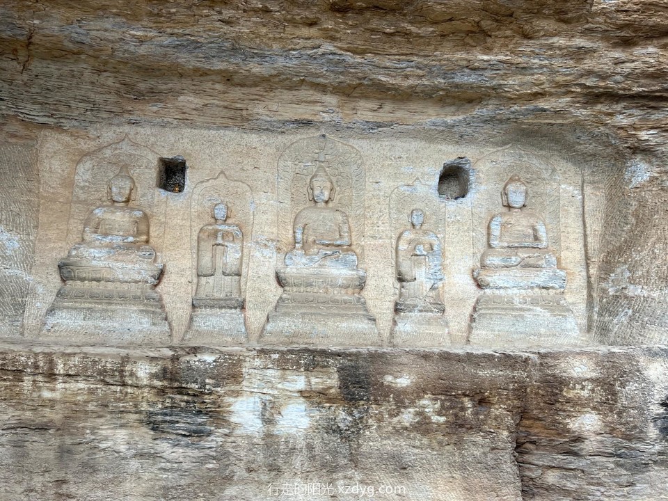 mmexport1649639213904_edit_269153424113095