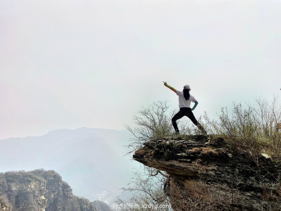 mmexport1649639481049_edit_269051495065194