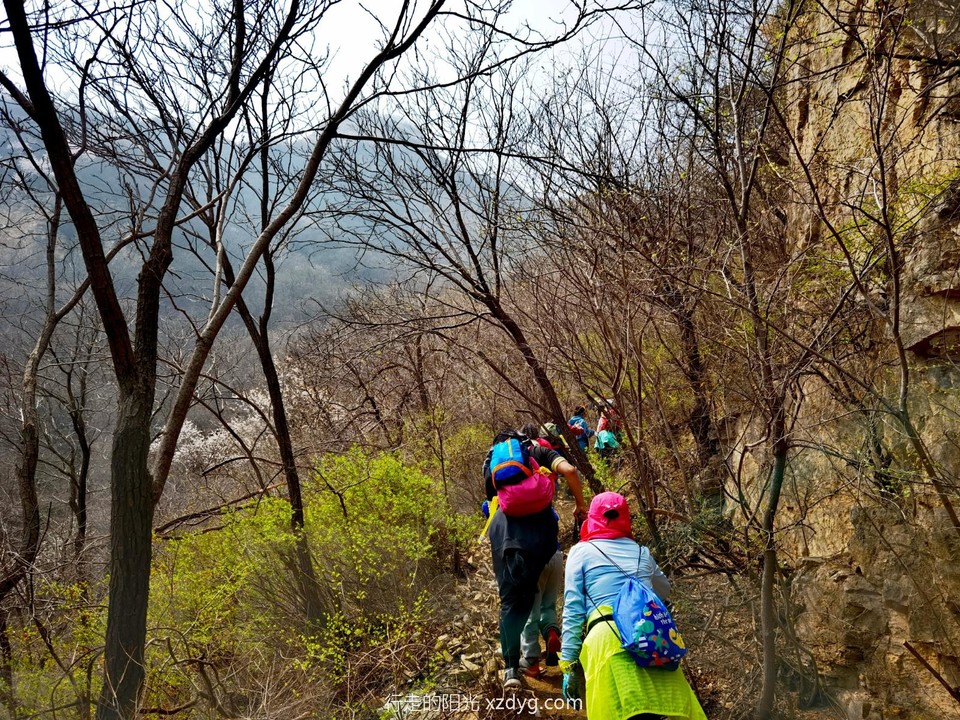 IMG_20220410_121155_edit_237207368072658