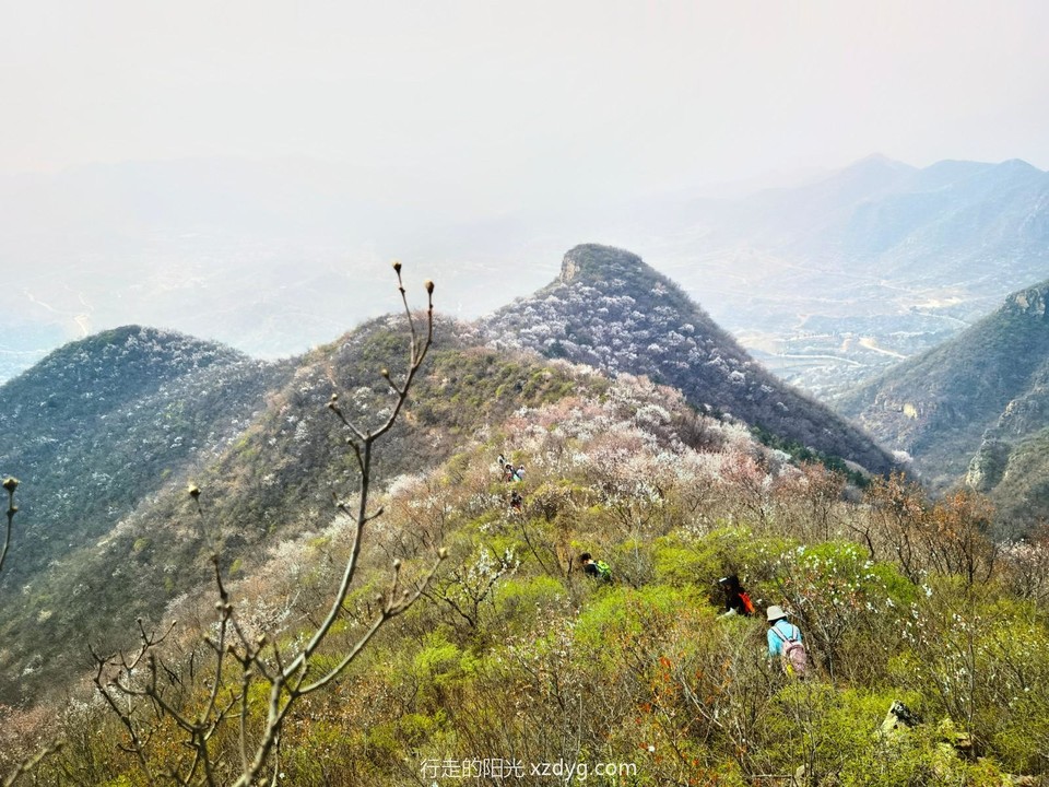 IMG_20220410_134411_edit_237053742094556