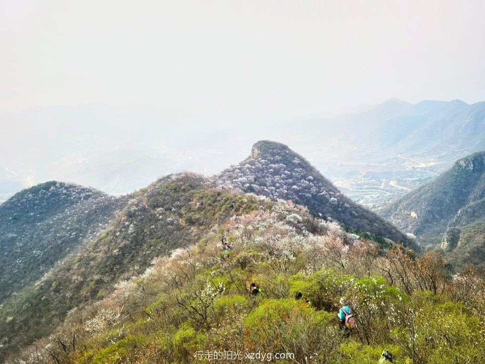 IMG_20220410_134417_edit_237043395933099