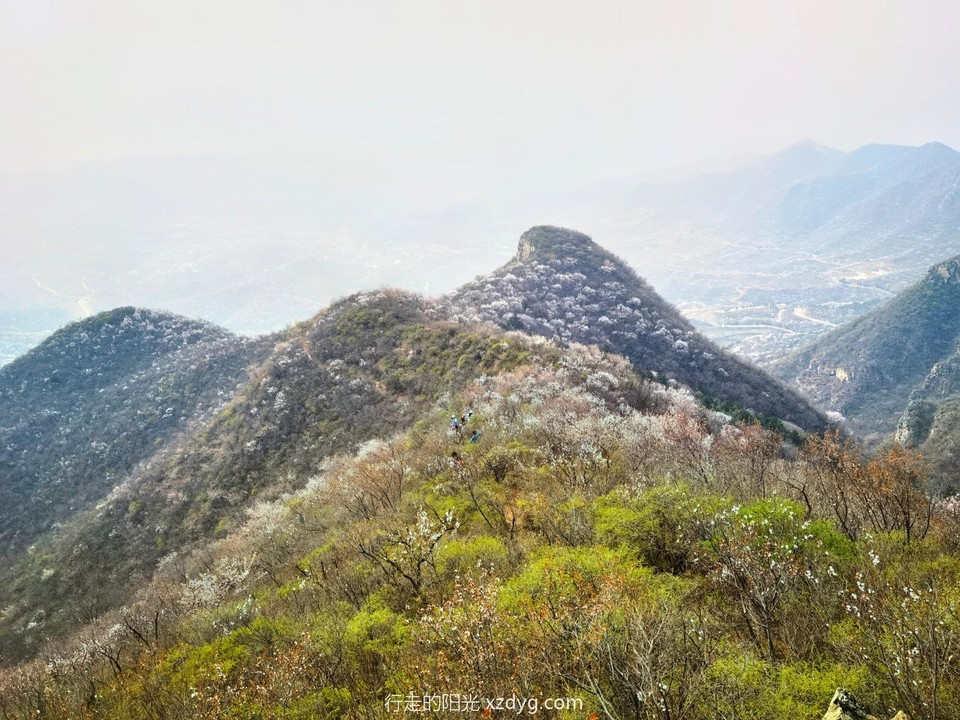 IMG_20220410_134813_edit_236975247348735