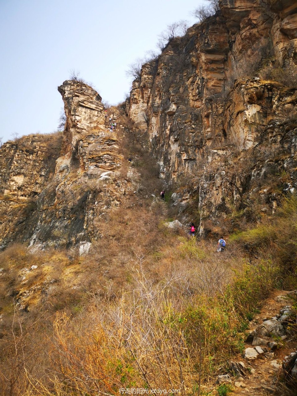 mmexport1649648573828_edit_280676435722795