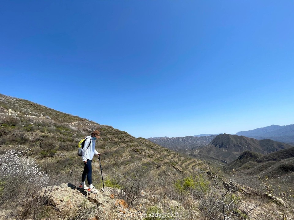 mmexport1650099710154_edit_175969970325751