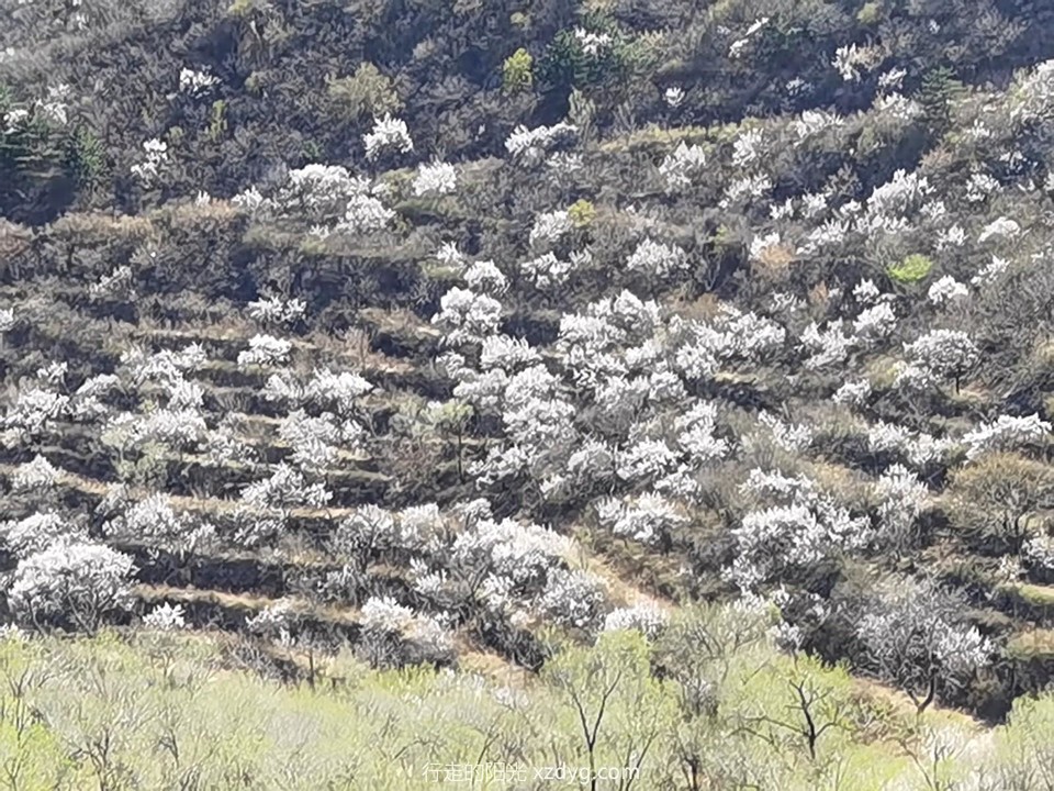 mmexport1650099721431_edit_175977076874709