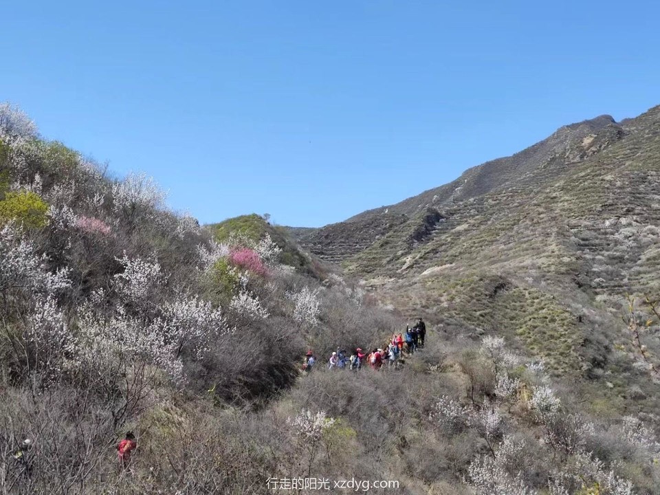 mmexport1650099976033_edit_176046252289802