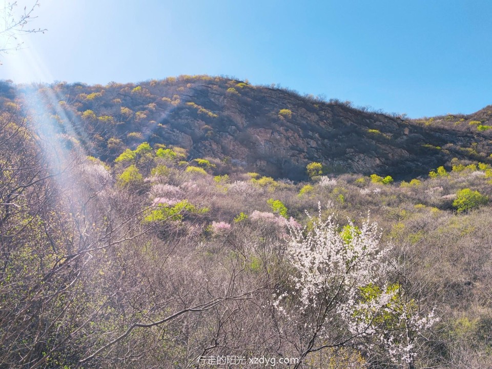 mmexport1650099853609