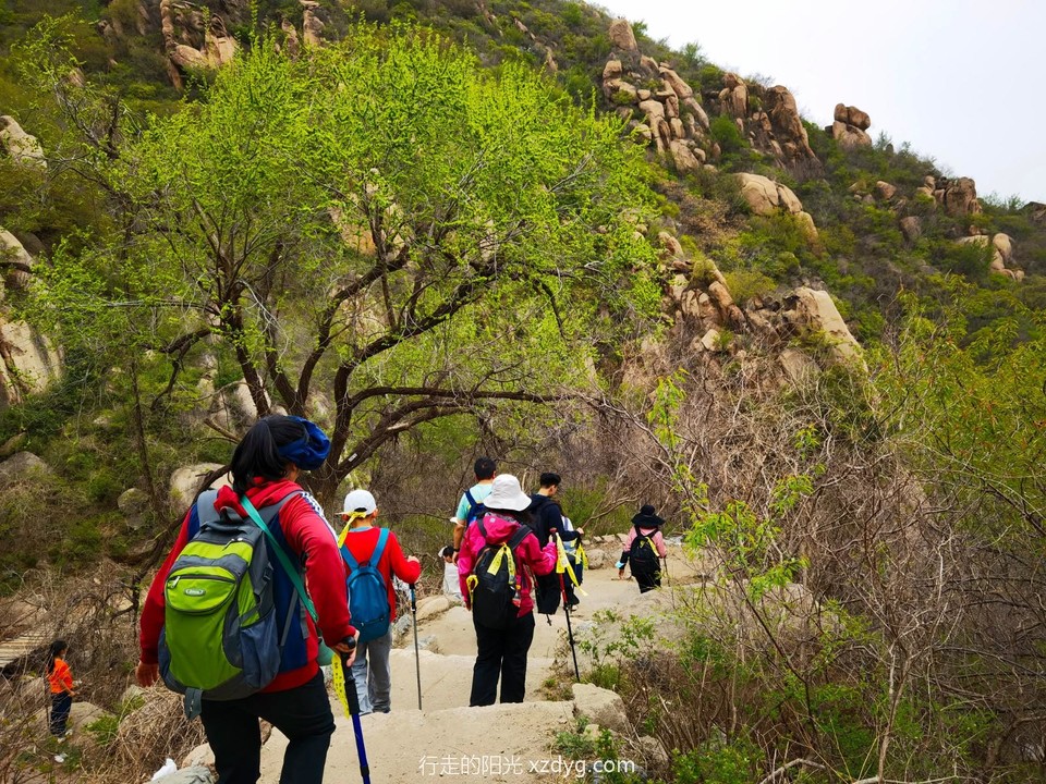 IMG_20220417_123542_edit_216965212884600