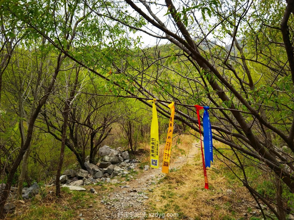 IMG_20220417_115014_edit_216995838634596