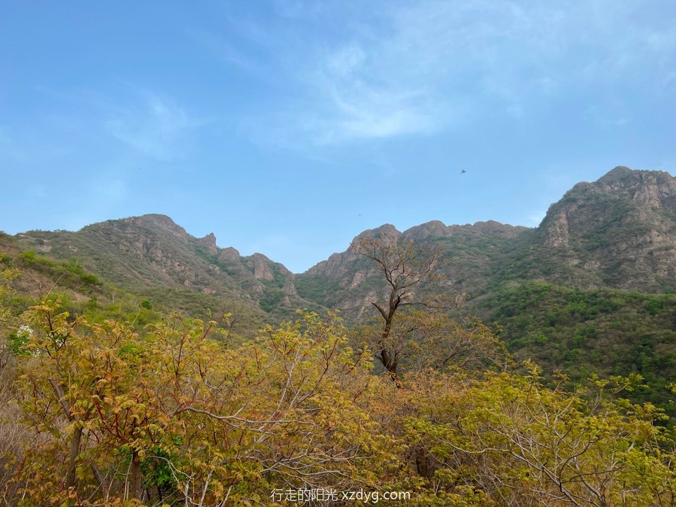 mmexport1650772750075