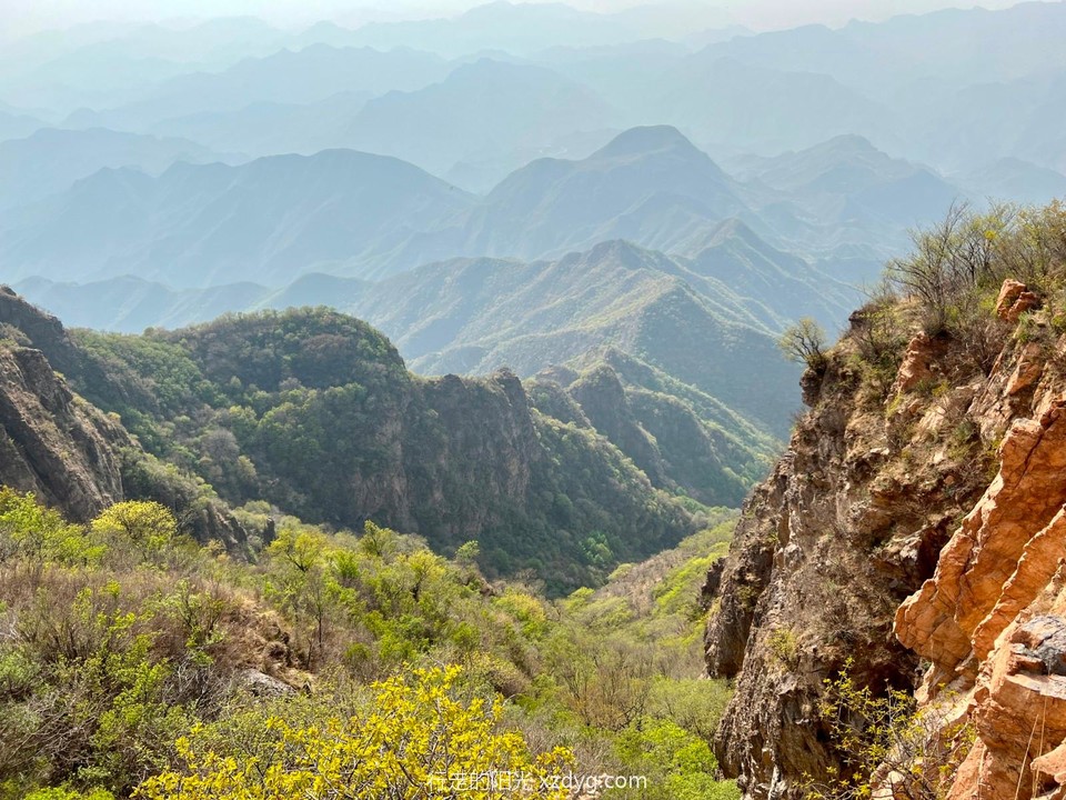 mmexport1650772735779