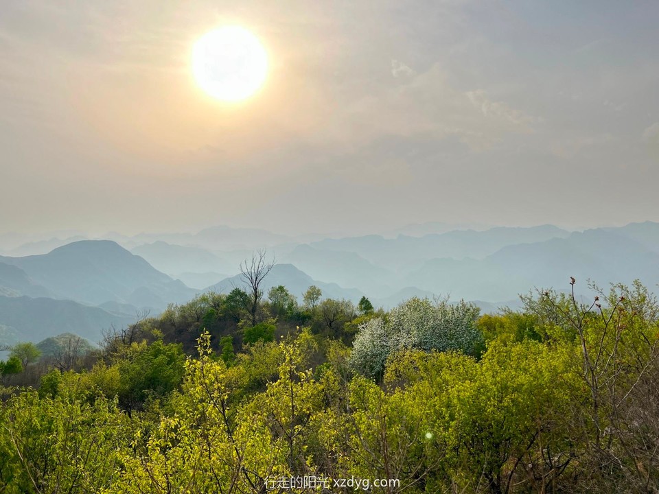 mmexport1650772724987