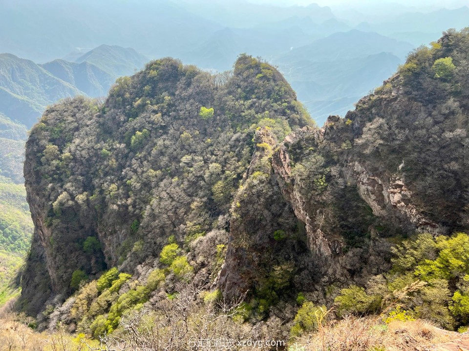 mmexport1650772714271