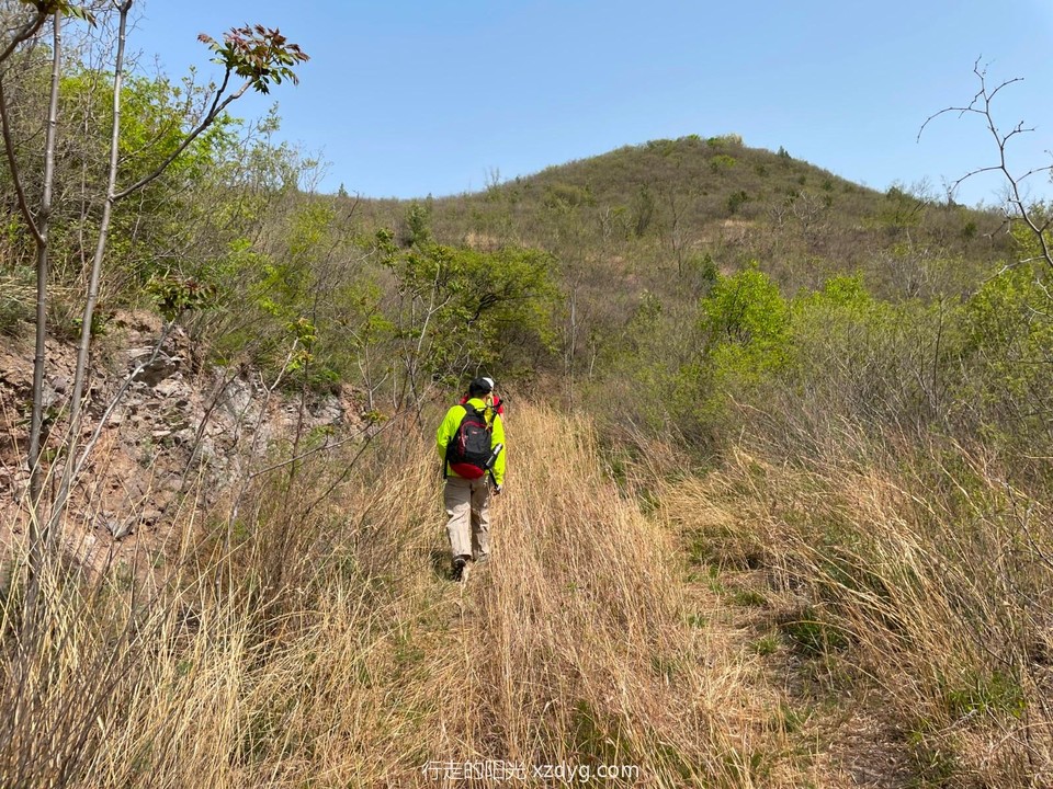 mmexport1650772263886