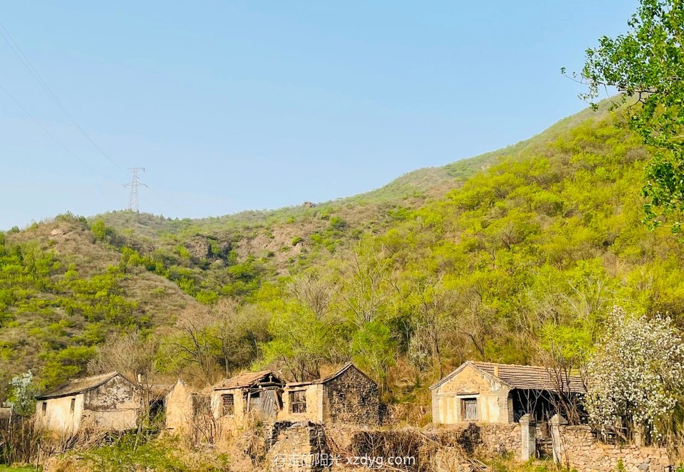 mmexport1650772213999