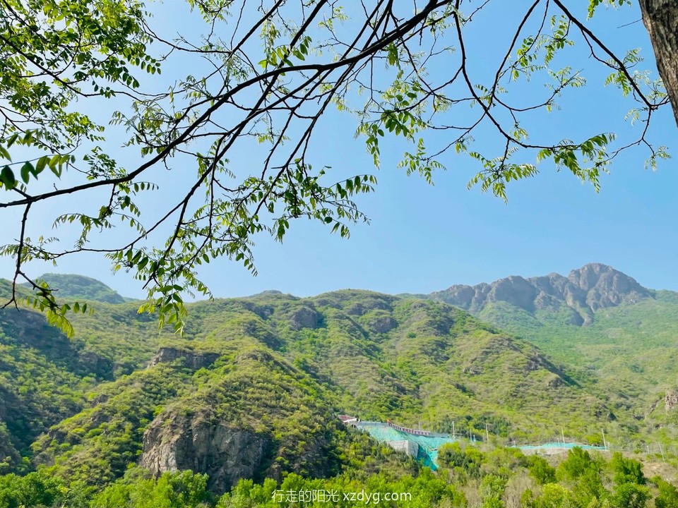 mmexport1650772199371