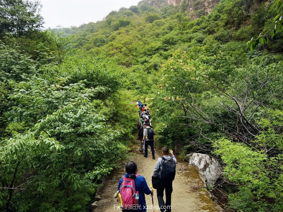 IMG_20220611_111542_edit_54634911010933