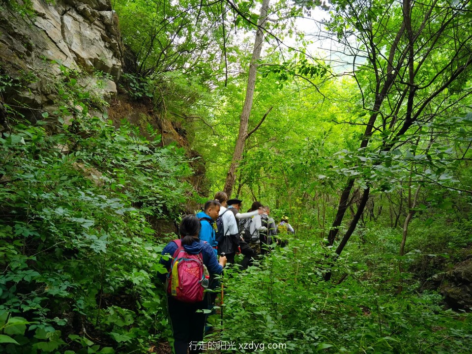 IMG_20220611_141111_edit_54749396680707