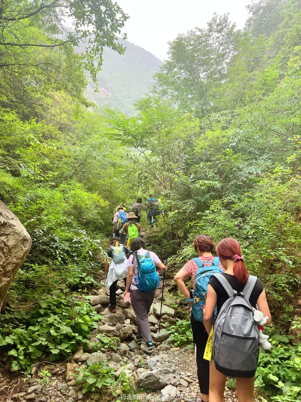 mmexport1655003963927_edit_84698725357387