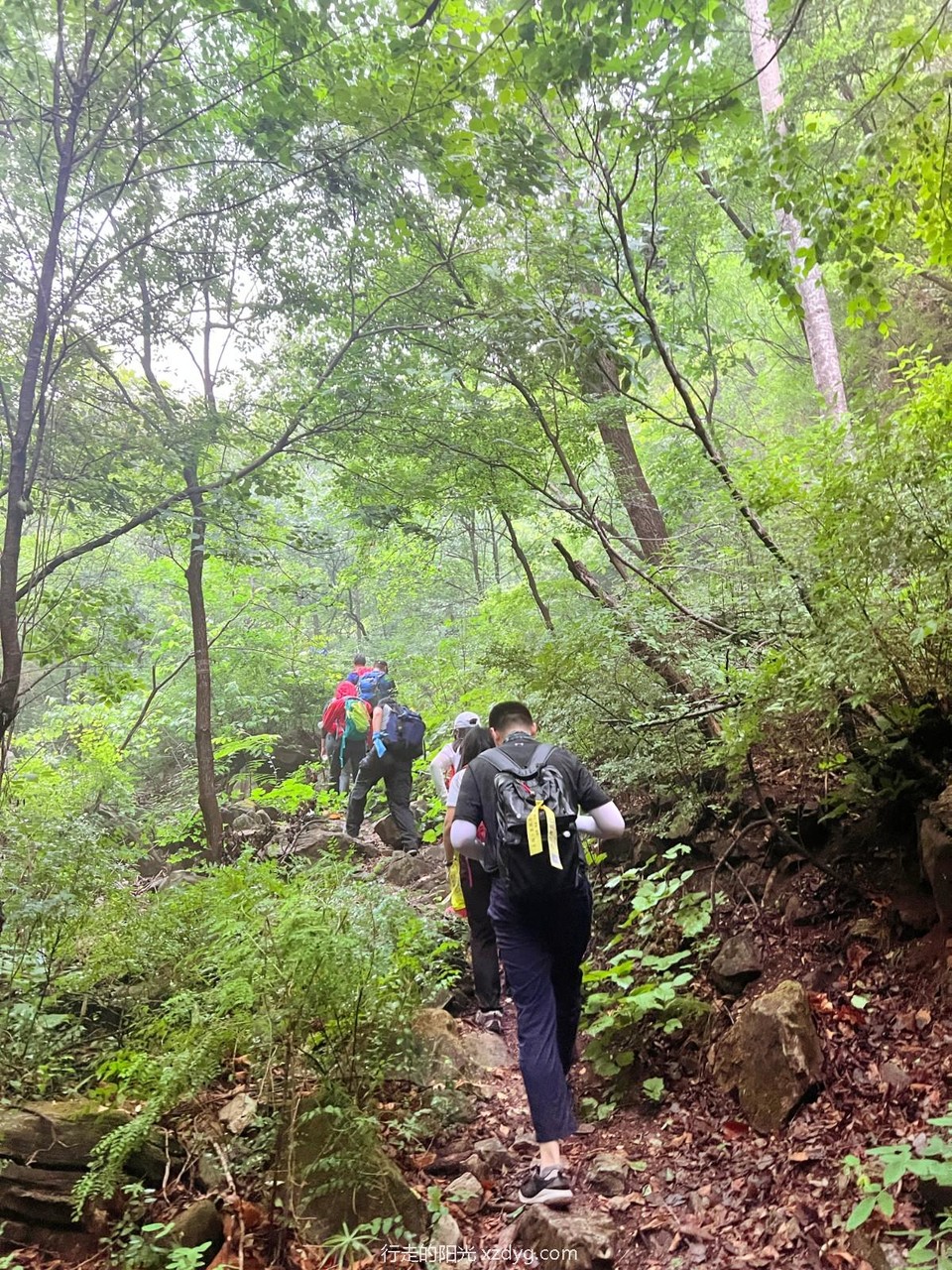 mmexport1655003950267_edit_84709513841240