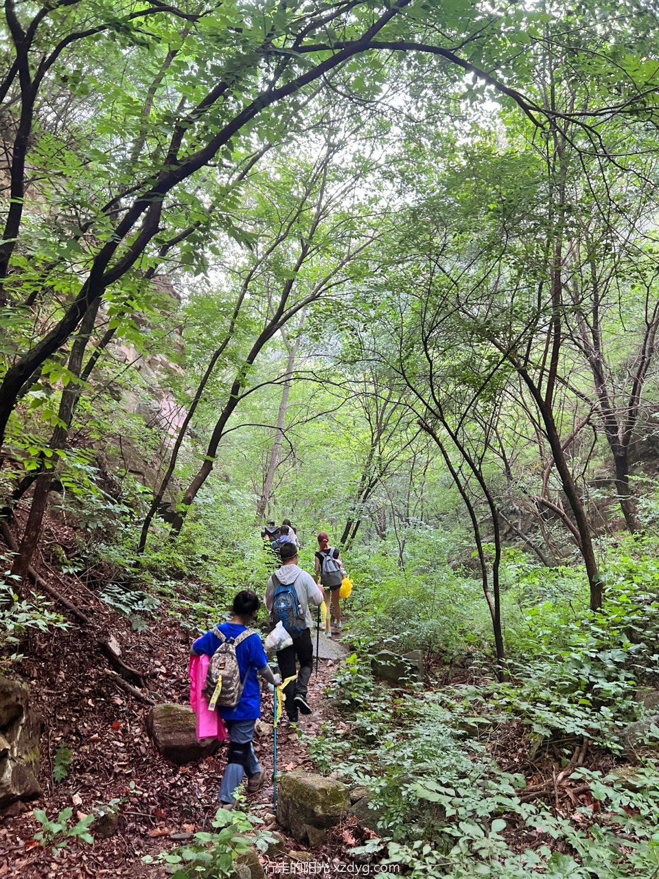 mmexport1655003884677_edit_84734335799048