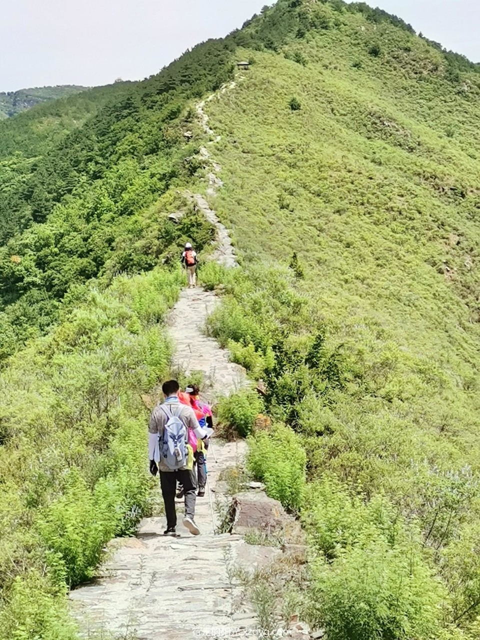 mmexport1656401261861_edit_630364887182457