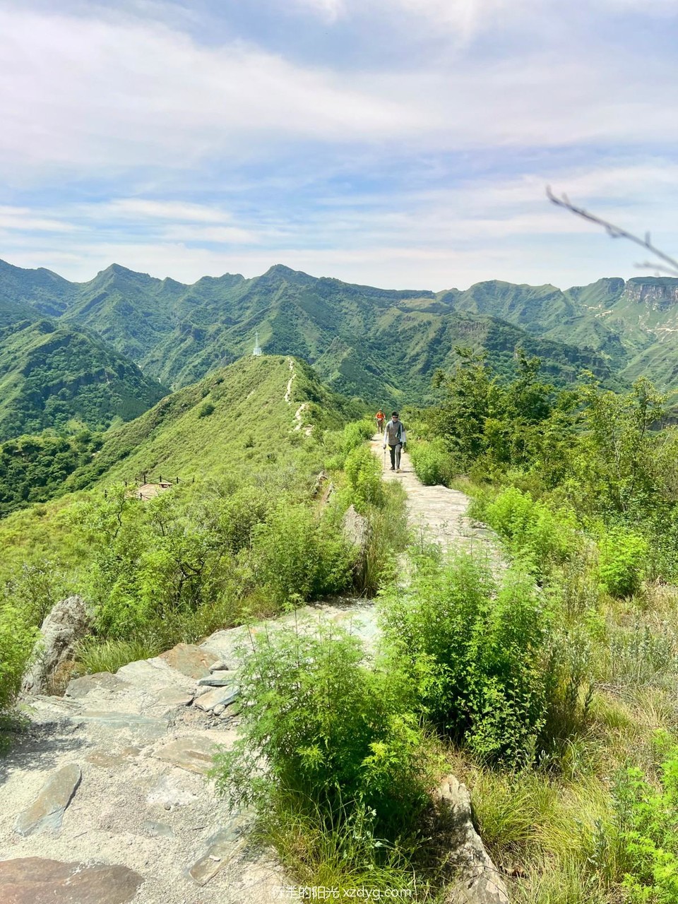 mmexport1656401413921_edit_630341495165274