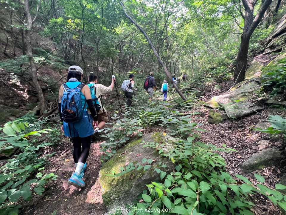 mmexport1656821005872_edit_74490865354256