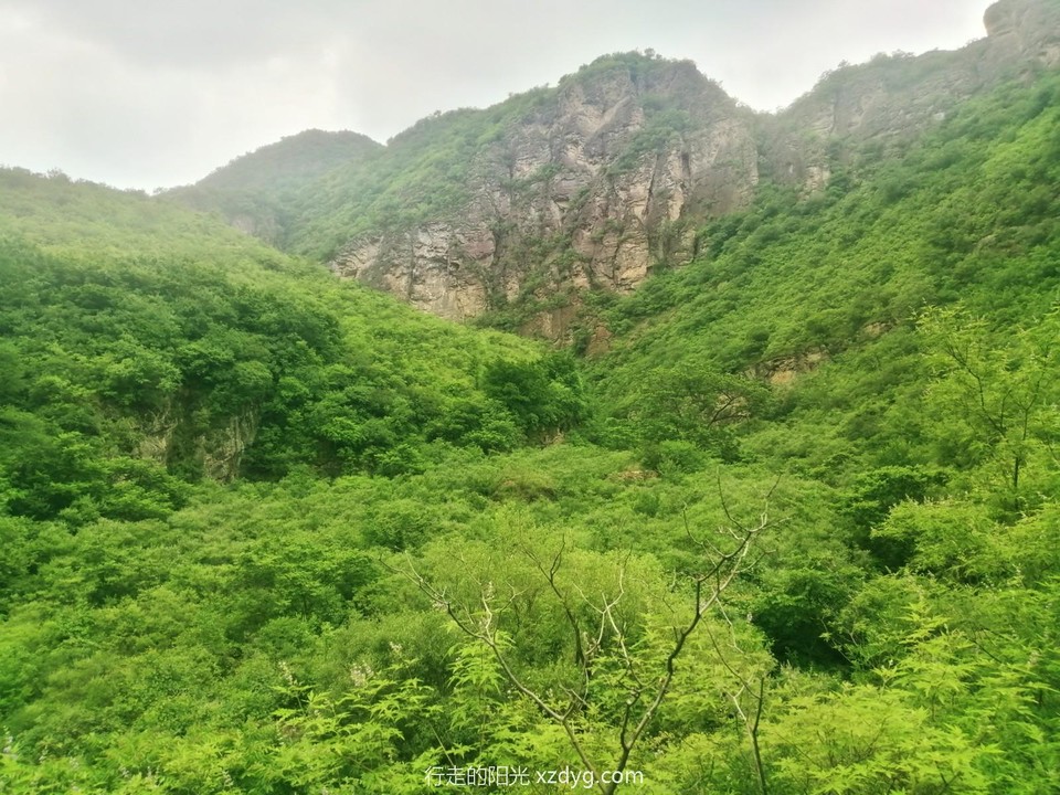 mmexport1656821083733_edit_74500741348005