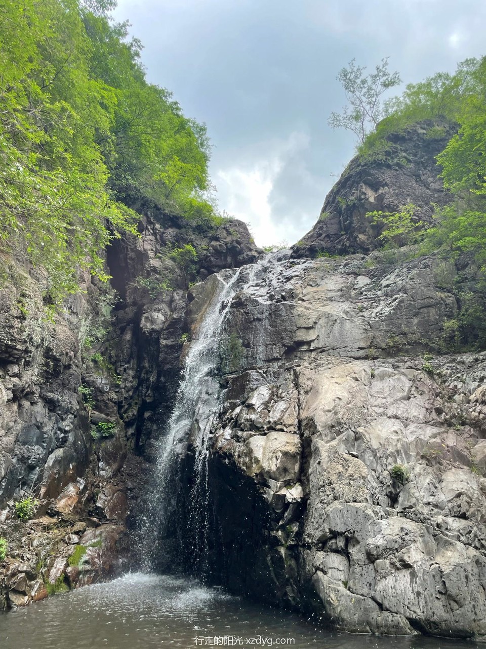 mmexport1656901794468_edit_113886058889391