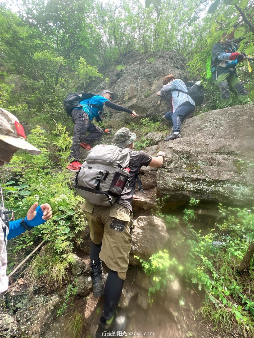 mmexport1656901734483_edit_113876338807101