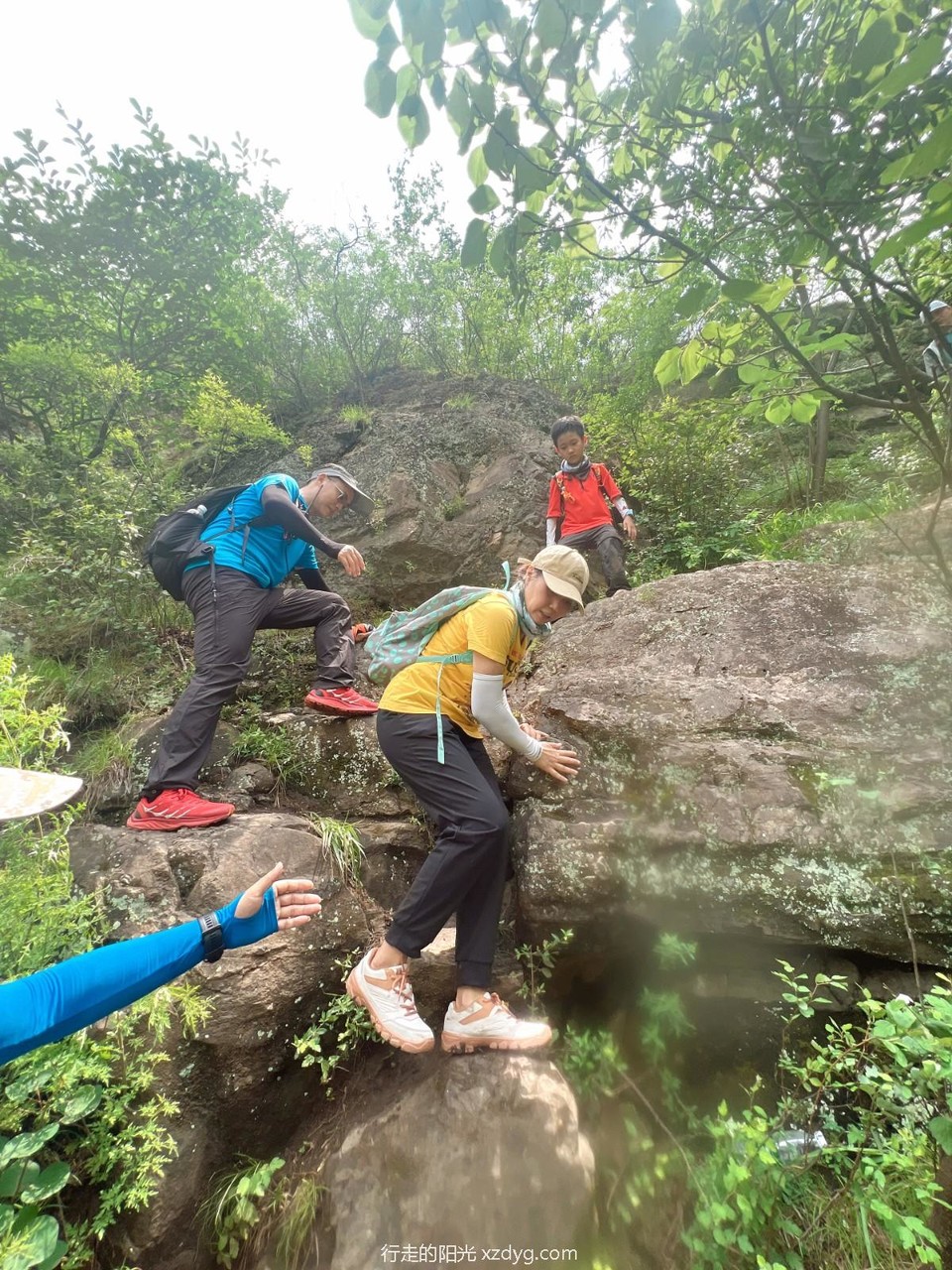 mmexport1656901695347_edit_113862545394082