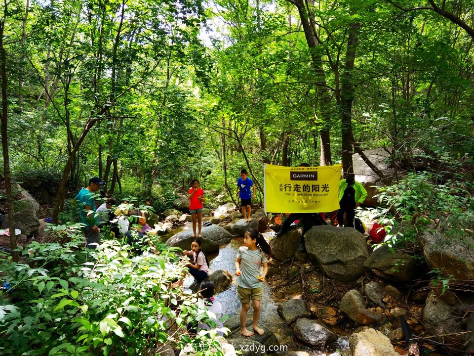 IMG_20220709_112929_edit_27226959154699