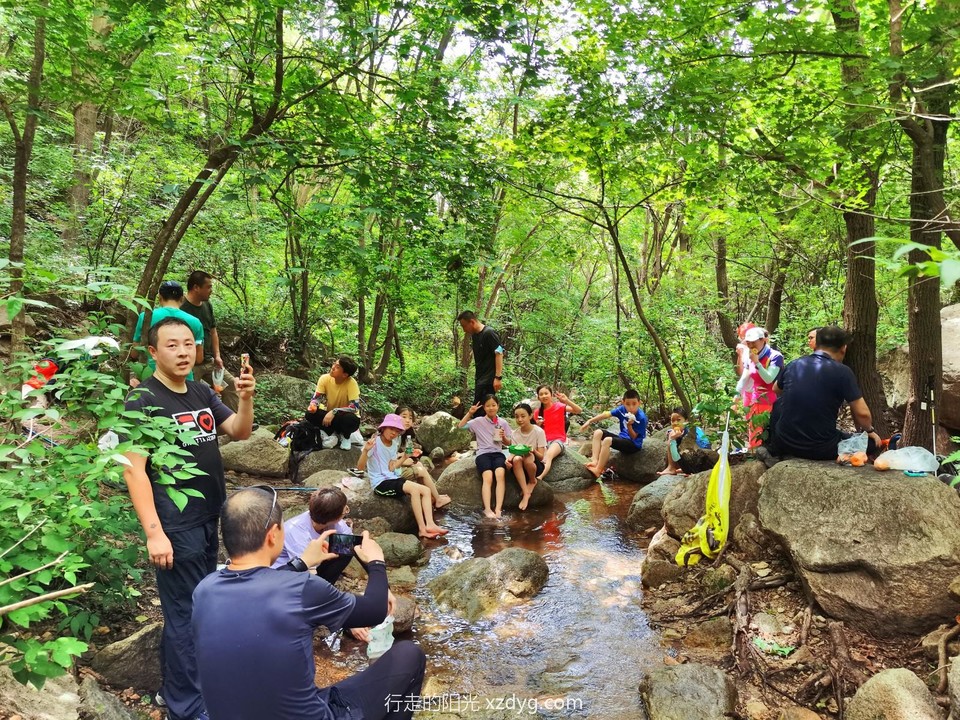 mmexport1657368973408_edit_43285617019957