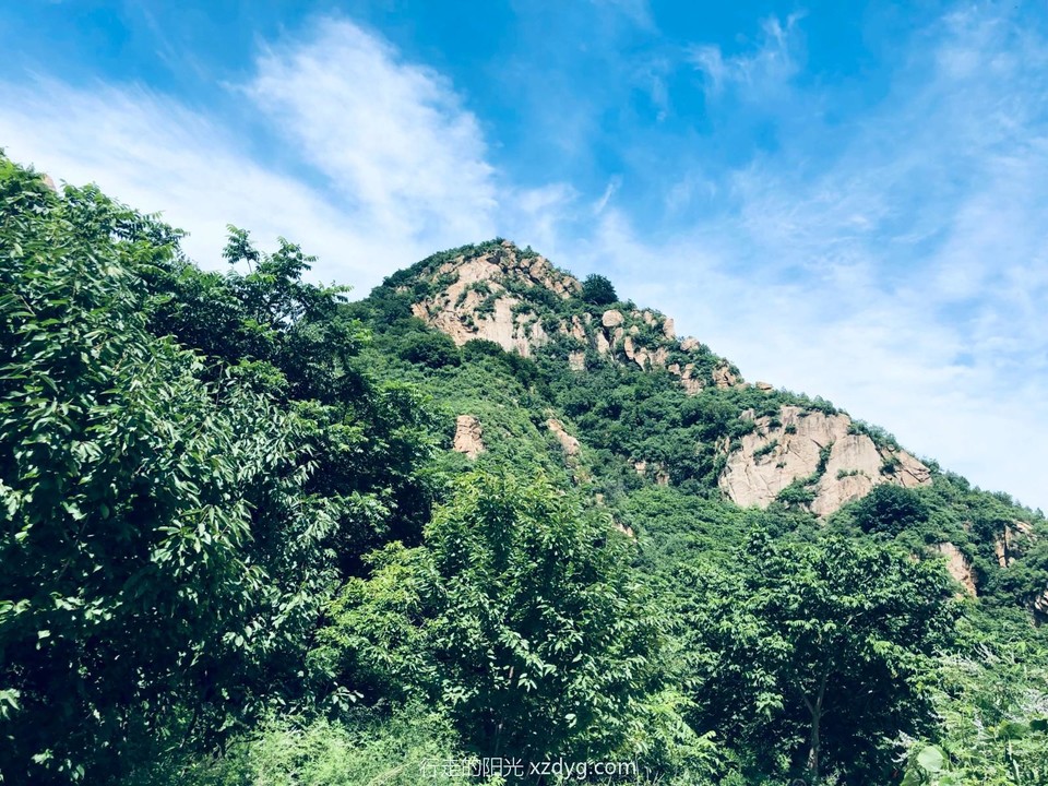 mmexport1657369049915_edit_43296954722559