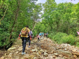 mmexport1657369072581_edit_43309725376203